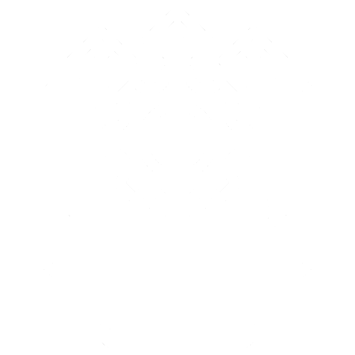 Software Development icon
